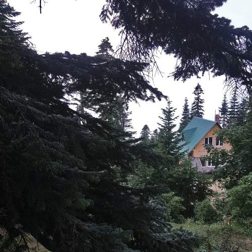 Photo #7318348
