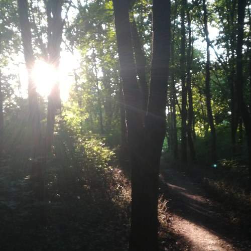 Photo #7318516