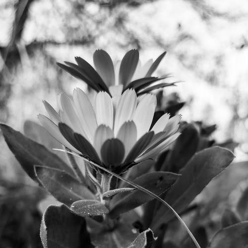 Photo #7318864