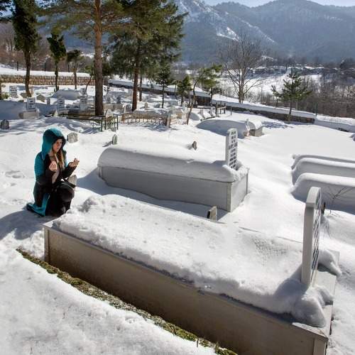 Фотография #7319163