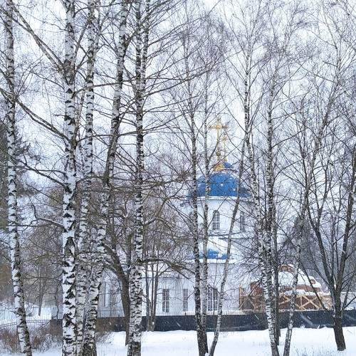 Photo #7319165
