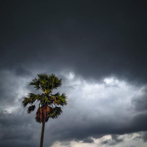 Photo #7319199