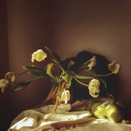 Photo #7319201