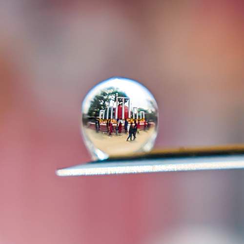 Photo #7319341