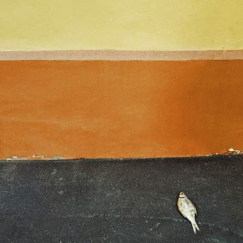 Photo #7319345