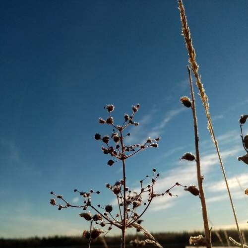 Photo #7319438