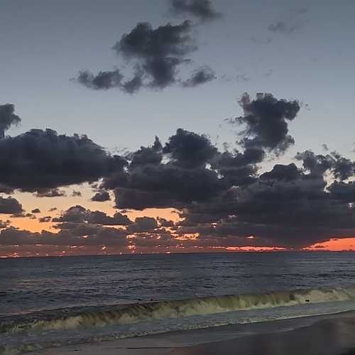 Photo #7319505
