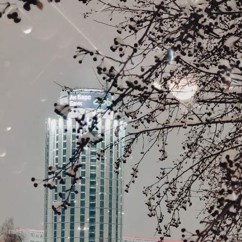 Photo #7319985