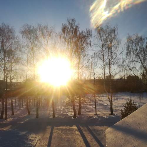 Photo #7320131