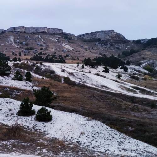 Photo #7320150