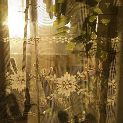 Photo #7320242