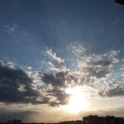 Photo #7320453
