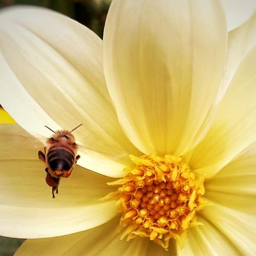 Photo #7320562