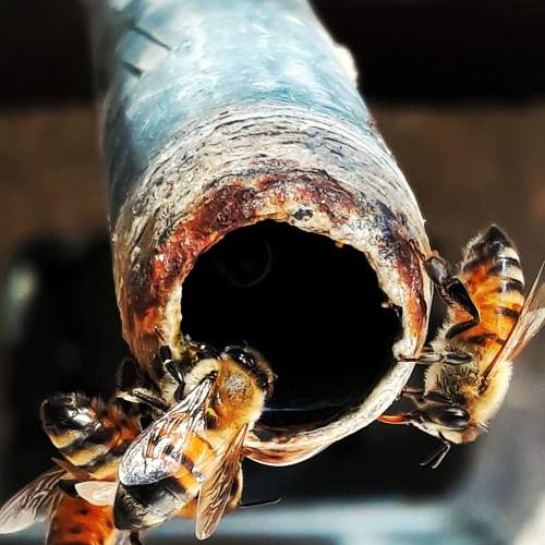 Photo #7320586