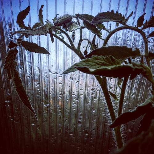 Photo #7320626