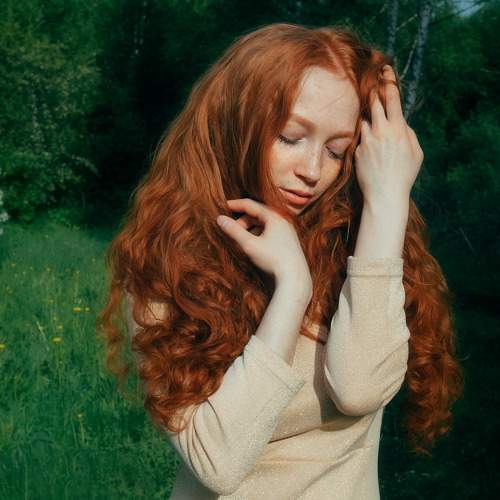 Photo #7320836