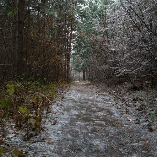 Photo #7320944