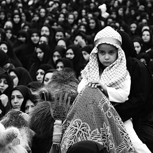 Фотография #7320991