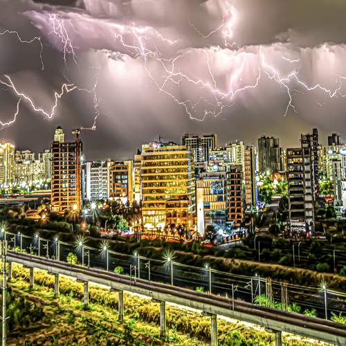 Photo #7321092