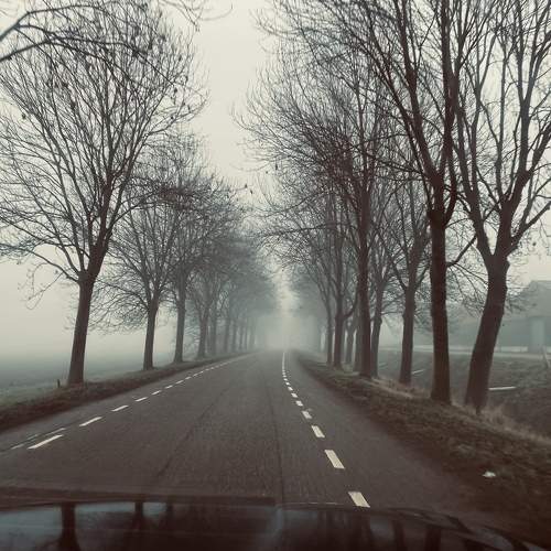 Photo #7321150