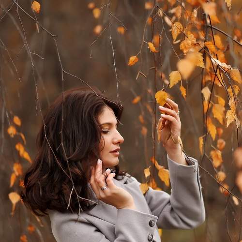 Фотография #7321265