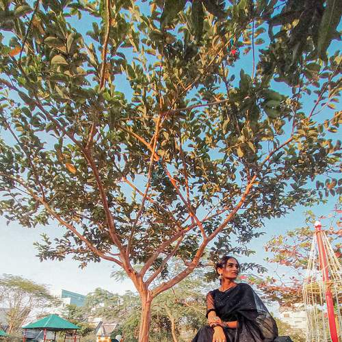 Photo #7321670