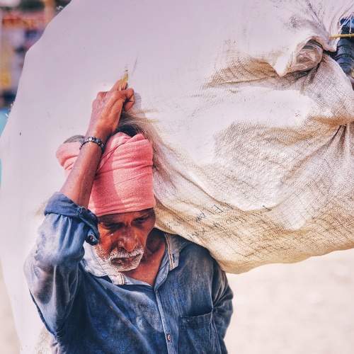 Photo #7321960