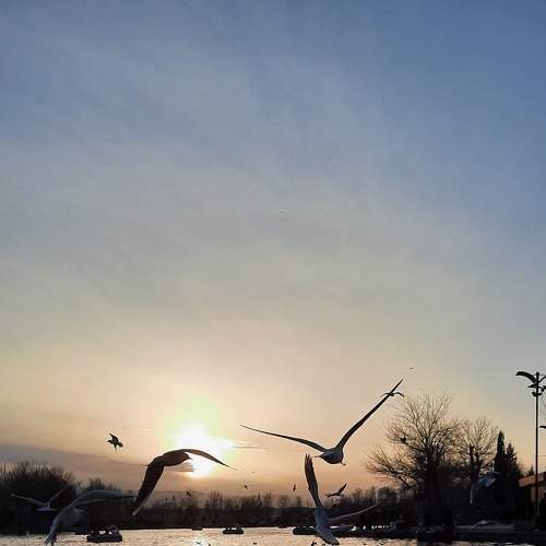 Photo #7322071