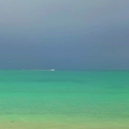 Photo #7322208