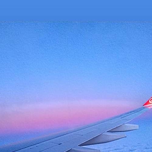 Photo #7322449