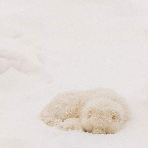 Photo #7322469
