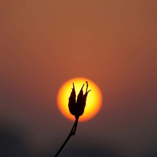 Photo #7323217