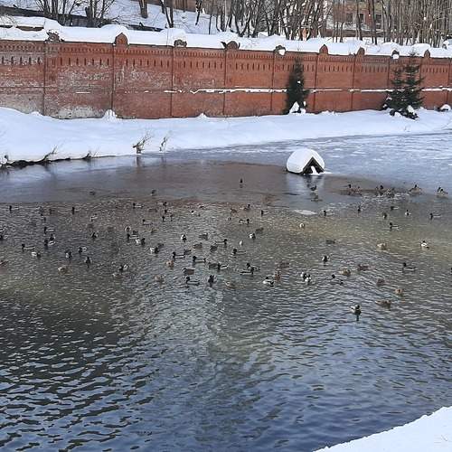 Photo #7323266