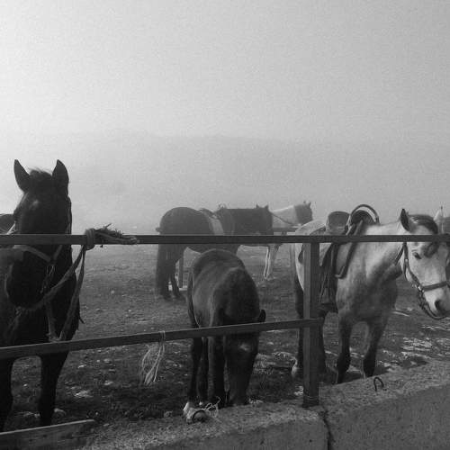Photo #7323399