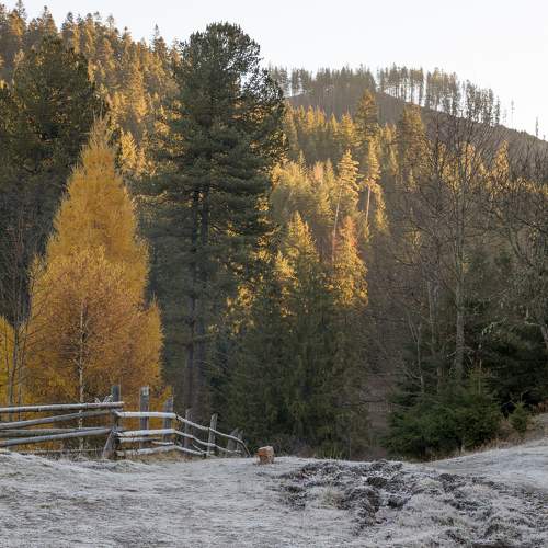 Photo #7323590
