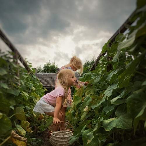 Photo #7323674