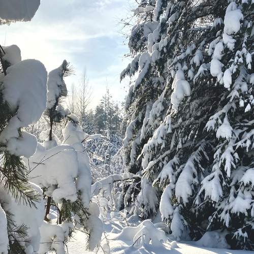 Photo #7323824