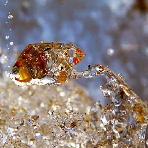 Photo #7323899