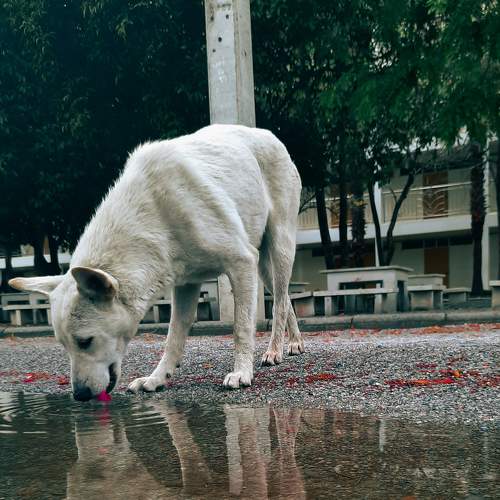 Photo #7323939