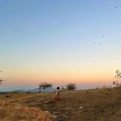 Photo #7323943