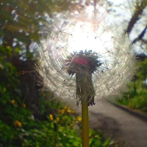 Photo #7323969
