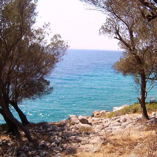 Photo #7324001