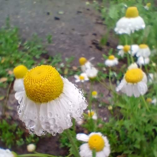 Photo #7324025