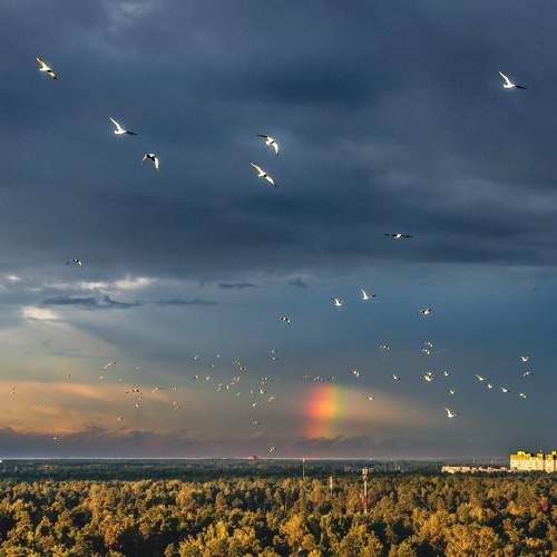 Photo #7324073