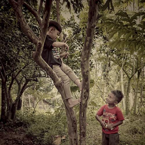 Photo #7324214