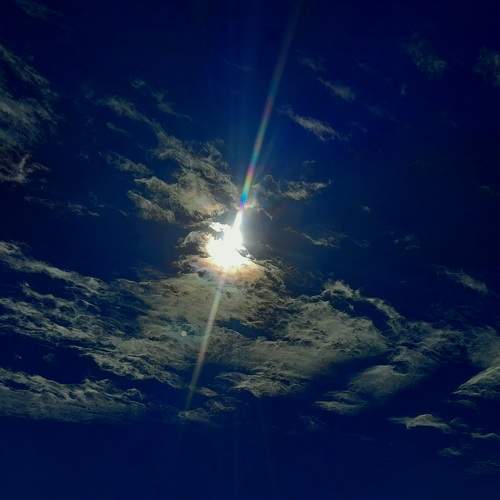 Photo #7324441