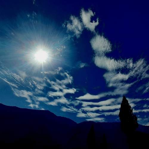 Photo #7324453