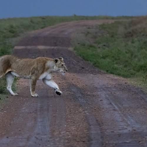 Photo #7324554