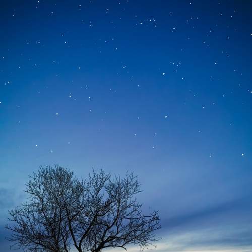 Photo #7324562