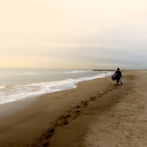 Photo #7324583